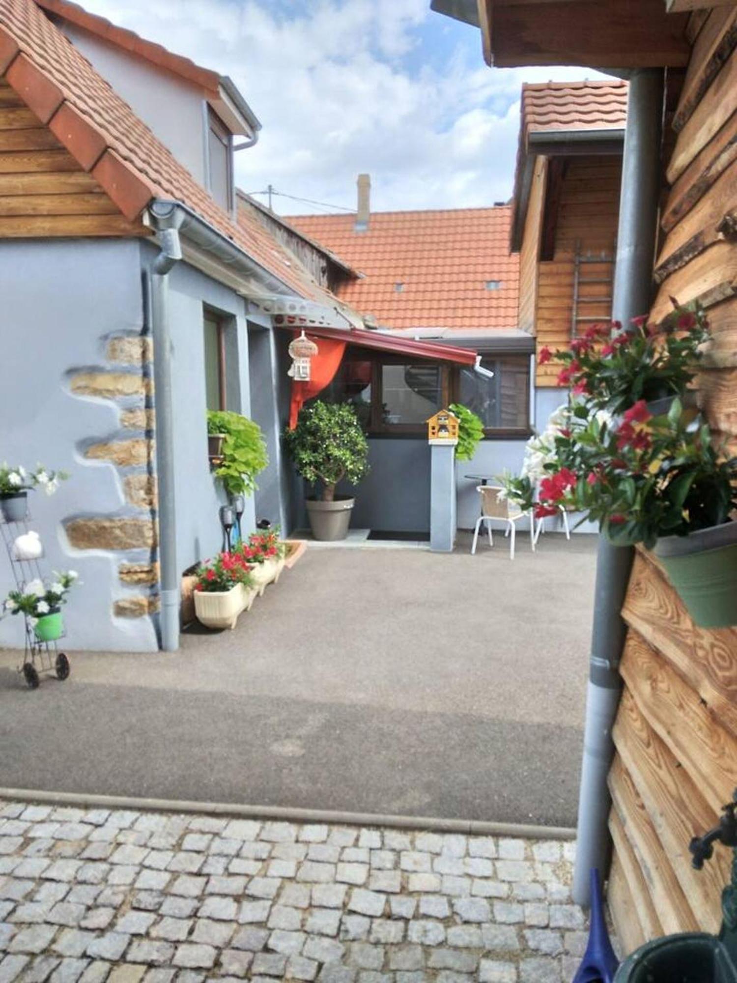 Appartement Cosy Wintzenheim + Terrasse المظهر الخارجي الصورة